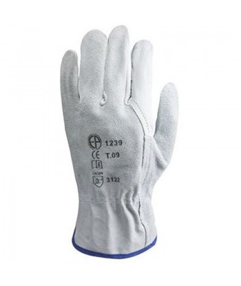 Pack 10 Gants Mautention